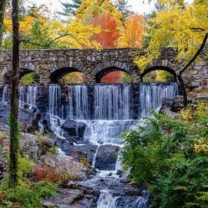 Meet your Posher, Liliana